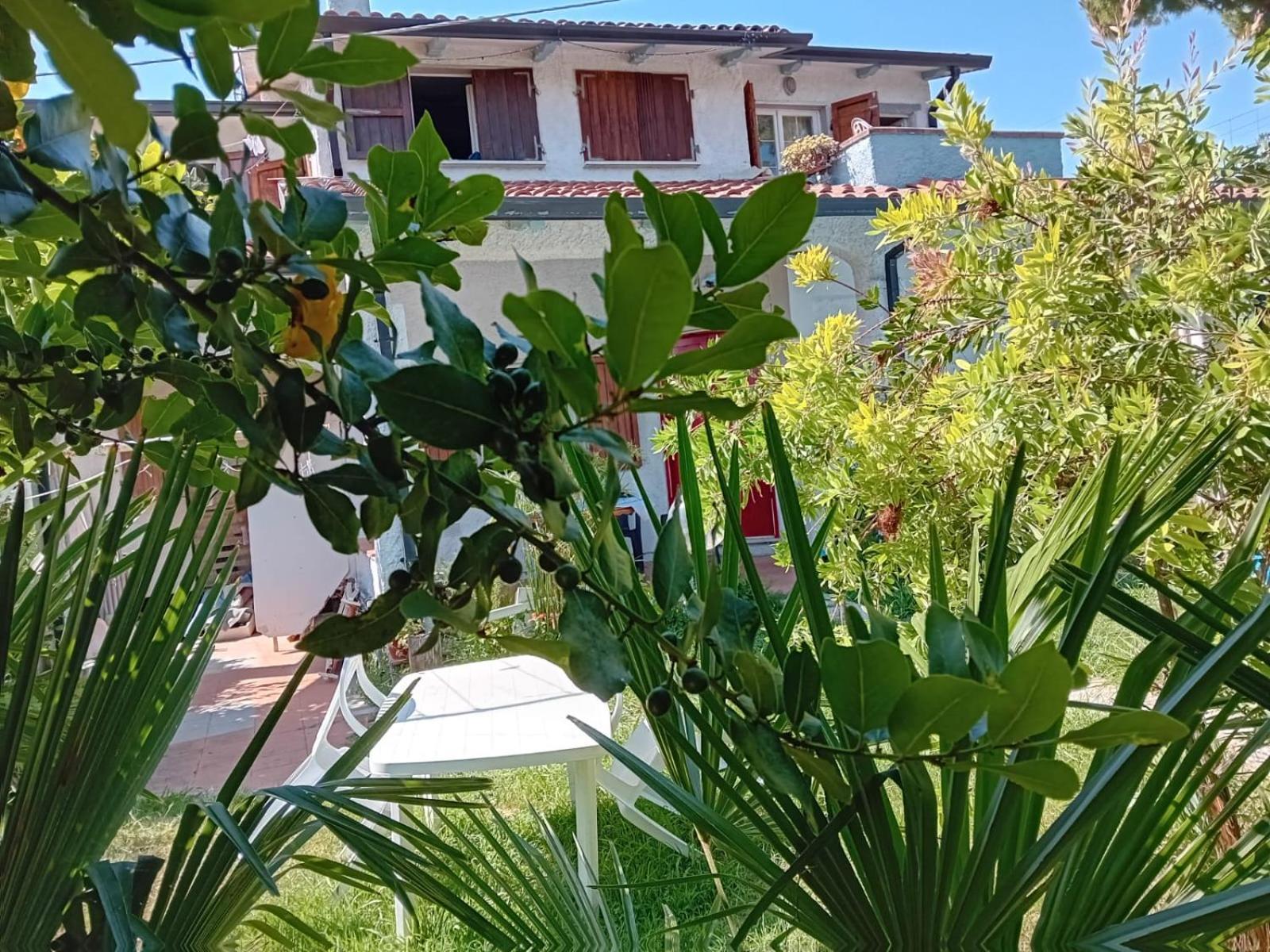 Sogno Vacanze Appartement Massa  Buitenkant foto
